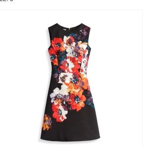 Maggie London black & red floral dress. Size 8.